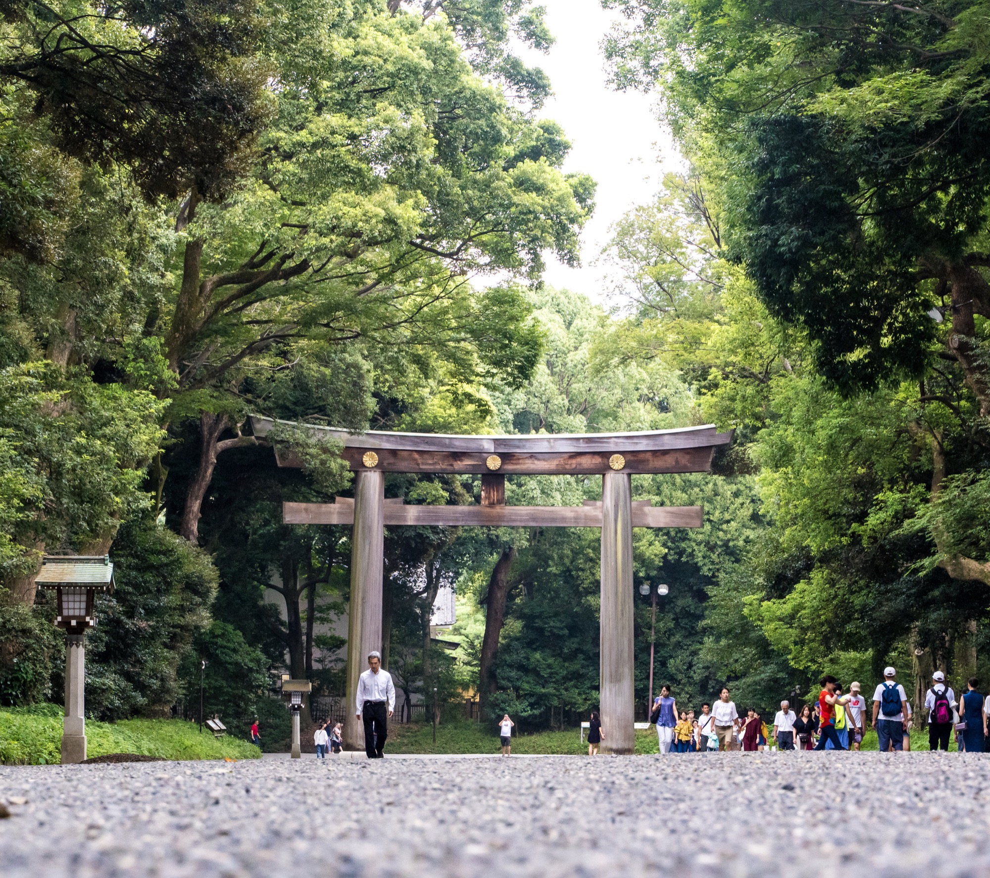 明治神宮のご利益・見どころ・参拝ガイド